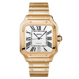 VestVantos Gold White – VestWatches